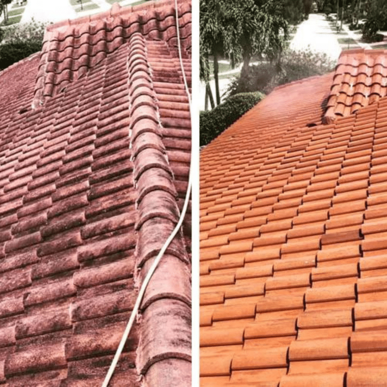 Roof Cleaning Company in Orlando, FL